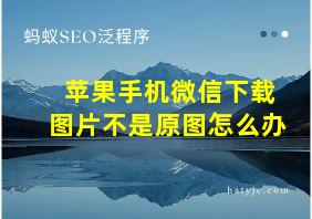 苹果手机微信下载图片不是原图怎么办