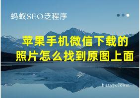 苹果手机微信下载的照片怎么找到原图上面