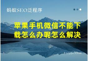 苹果手机微信不能下载怎么办呢怎么解决