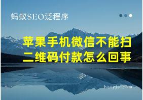 苹果手机微信不能扫二维码付款怎么回事