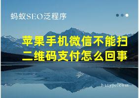 苹果手机微信不能扫二维码支付怎么回事