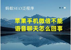 苹果手机微信不能语音聊天怎么回事