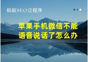 苹果手机微信不能语音说话了怎么办