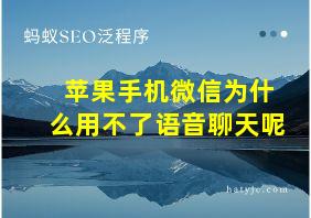 苹果手机微信为什么用不了语音聊天呢