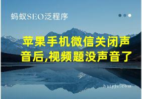 苹果手机微信关闭声音后,视频题没声音了