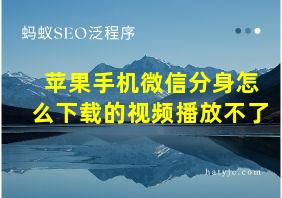 苹果手机微信分身怎么下载的视频播放不了