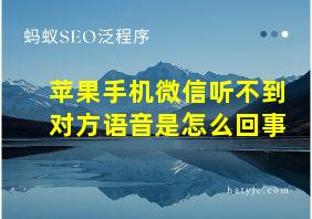 苹果手机微信听不到对方语音是怎么回事