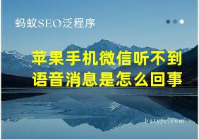 苹果手机微信听不到语音消息是怎么回事