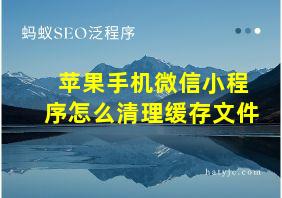 苹果手机微信小程序怎么清理缓存文件