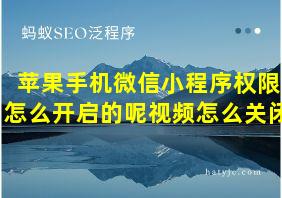 苹果手机微信小程序权限怎么开启的呢视频怎么关闭