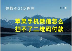 苹果手机微信怎么扫不了二维码付款