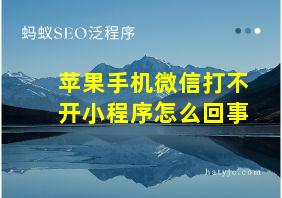 苹果手机微信打不开小程序怎么回事