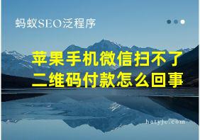 苹果手机微信扫不了二维码付款怎么回事