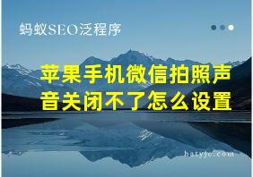 苹果手机微信拍照声音关闭不了怎么设置