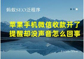 苹果手机微信收款开了提醒却没声音怎么回事