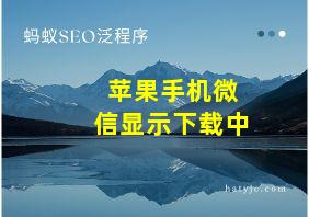 苹果手机微信显示下载中