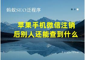 苹果手机微信注销后别人还能查到什么