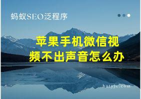 苹果手机微信视频不出声音怎么办