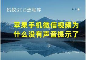 苹果手机微信视频为什么没有声音提示了