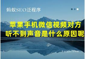 苹果手机微信视频对方听不到声音是什么原因呢