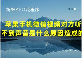 苹果手机微信视频对方听不到声音是什么原因造成的