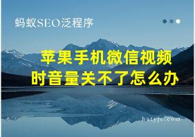 苹果手机微信视频时音量关不了怎么办