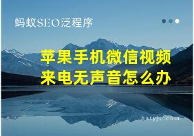 苹果手机微信视频来电无声音怎么办