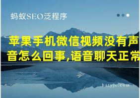 苹果手机微信视频没有声音怎么回事,语音聊天正常