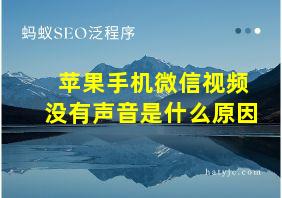 苹果手机微信视频没有声音是什么原因