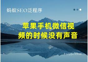 苹果手机微信视频的时候没有声音