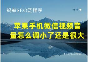 苹果手机微信视频音量怎么调小了还是很大