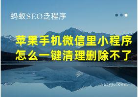 苹果手机微信里小程序怎么一键清理删除不了