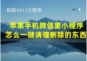 苹果手机微信里小程序怎么一键清理删除的东西