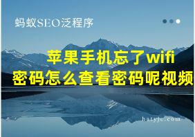 苹果手机忘了wifi密码怎么查看密码呢视频