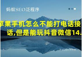 苹果手机怎么不能打电话接电话,但是能玩抖音微信14.6