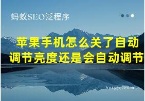 苹果手机怎么关了自动调节亮度还是会自动调节