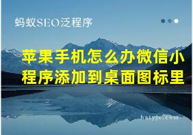 苹果手机怎么办微信小程序添加到桌面图标里