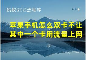 苹果手机怎么双卡不让其中一个卡用流量上网