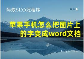 苹果手机怎么把图片上的字变成word文档