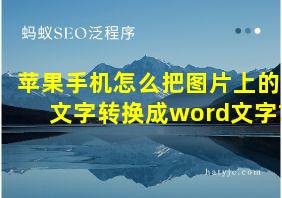 苹果手机怎么把图片上的文字转换成word文字?