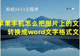 苹果手机怎么把图片上的文字转换成word文字格式文件