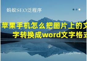 苹果手机怎么把图片上的文字转换成word文字格式