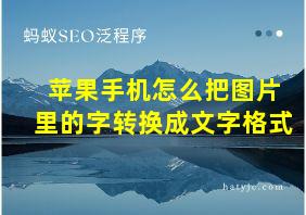 苹果手机怎么把图片里的字转换成文字格式