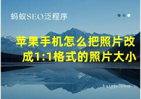 苹果手机怎么把照片改成1:1格式的照片大小