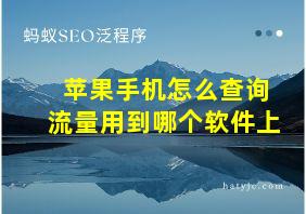 苹果手机怎么查询流量用到哪个软件上