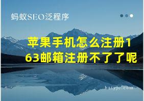 苹果手机怎么注册163邮箱注册不了了呢