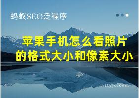 苹果手机怎么看照片的格式大小和像素大小