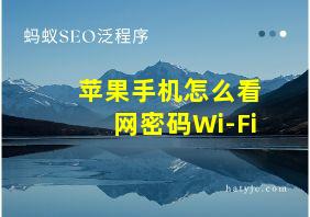 苹果手机怎么看网密码Wi-Fi