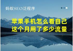 苹果手机怎么看自己这个月用了多少流量