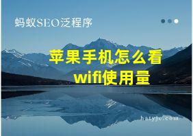 苹果手机怎么看wifi使用量